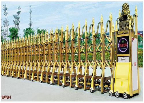 博大電動(dòng)伸縮門 奔騰506